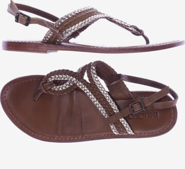 INUOVO Sandalen 37 in Braun: predná strana