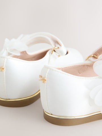 Baker by Ted Baker Ballerina's in Wit