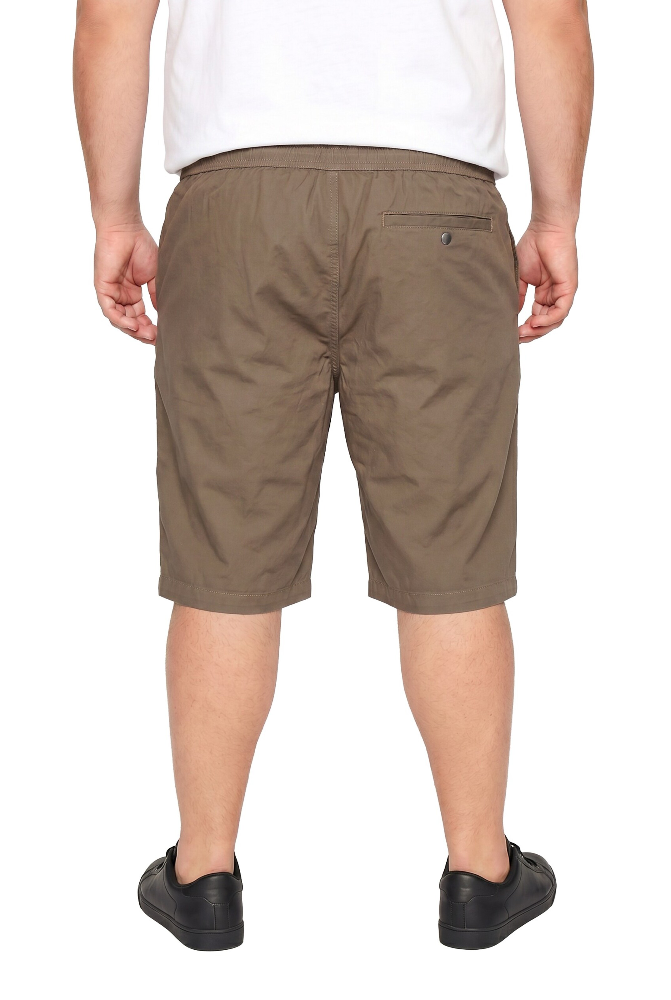 Men Plus Regular Pants in Brown