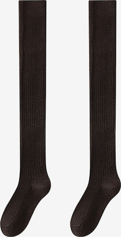 Magicshe Over the Knee Socks in Brown: front