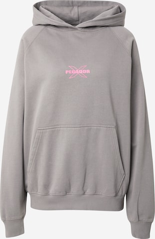 Pegador Sweatshirt 'Belly' in Grey: front