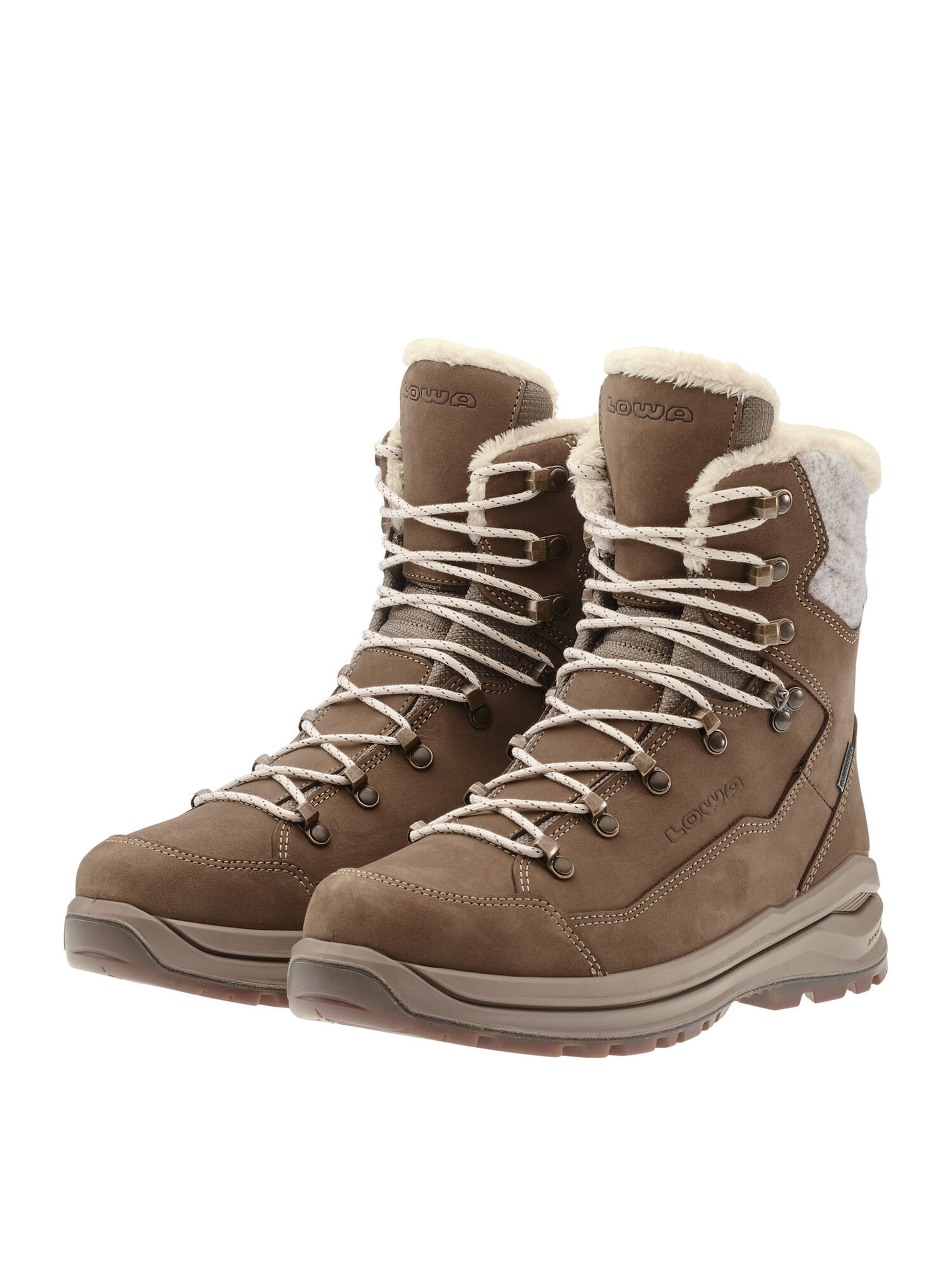LOWA Boots 'Renegade Evo Ice 2 GTX Ws' in Brown: front