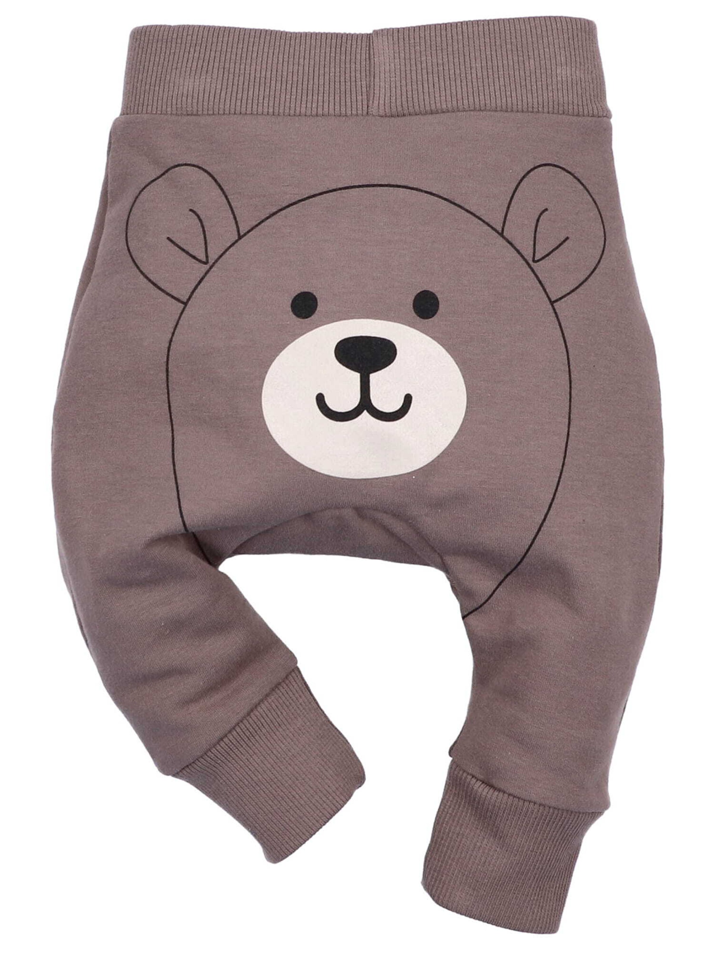 NINI Tapered Hose in Braun