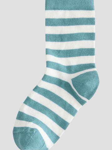 Next Socks in Mixed colours