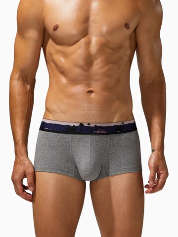 SEOBEAN Boxershorts‌‌‌‌ in Grau: Vorderseite