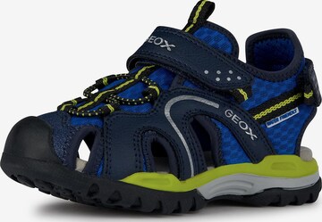 GEOX Sandals & Slippers 'Borealis' in Blue: front