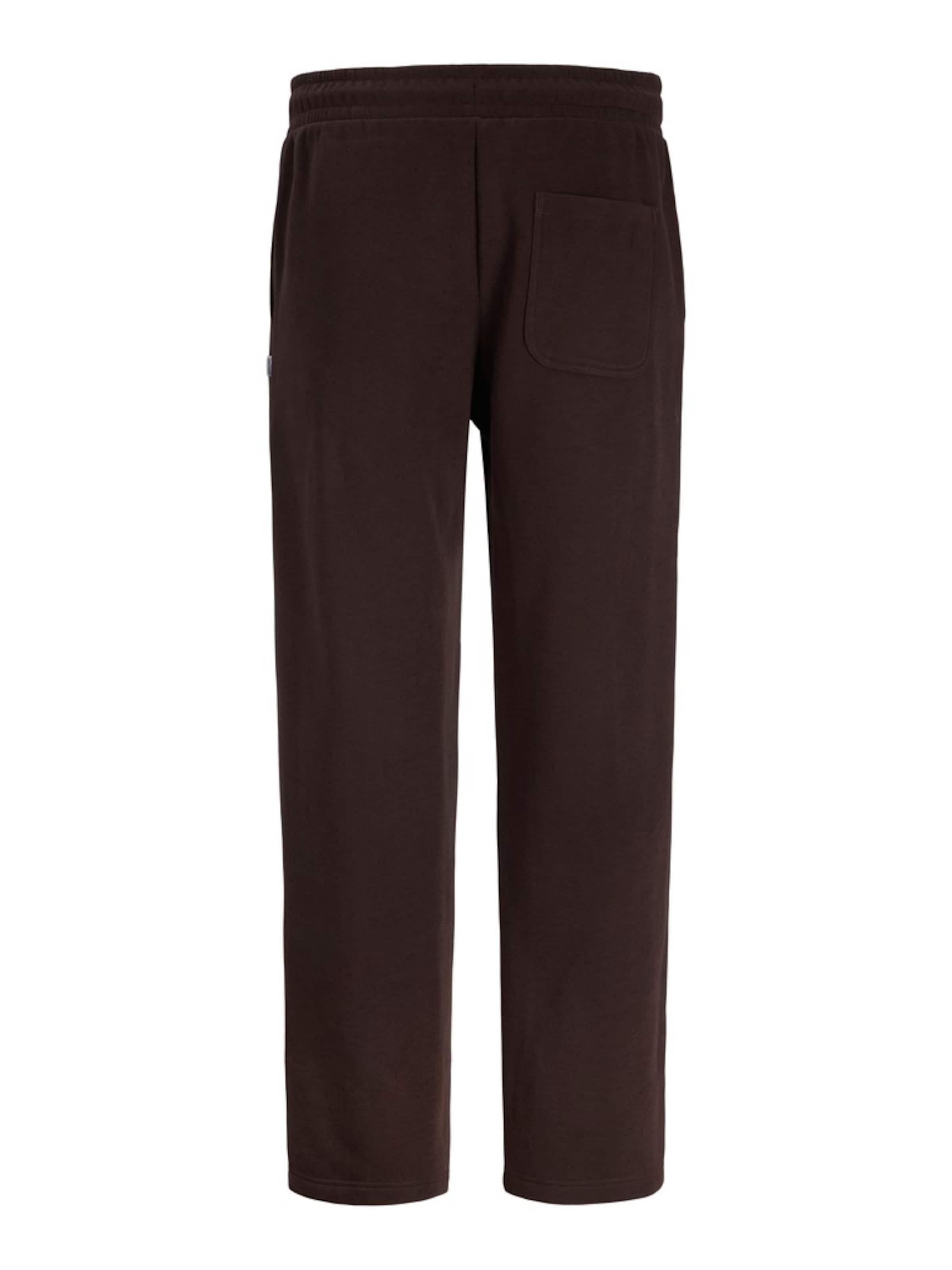 JACK & JONES Loose fit Trousers 'JPSTKARL BRADLEY' in Brown