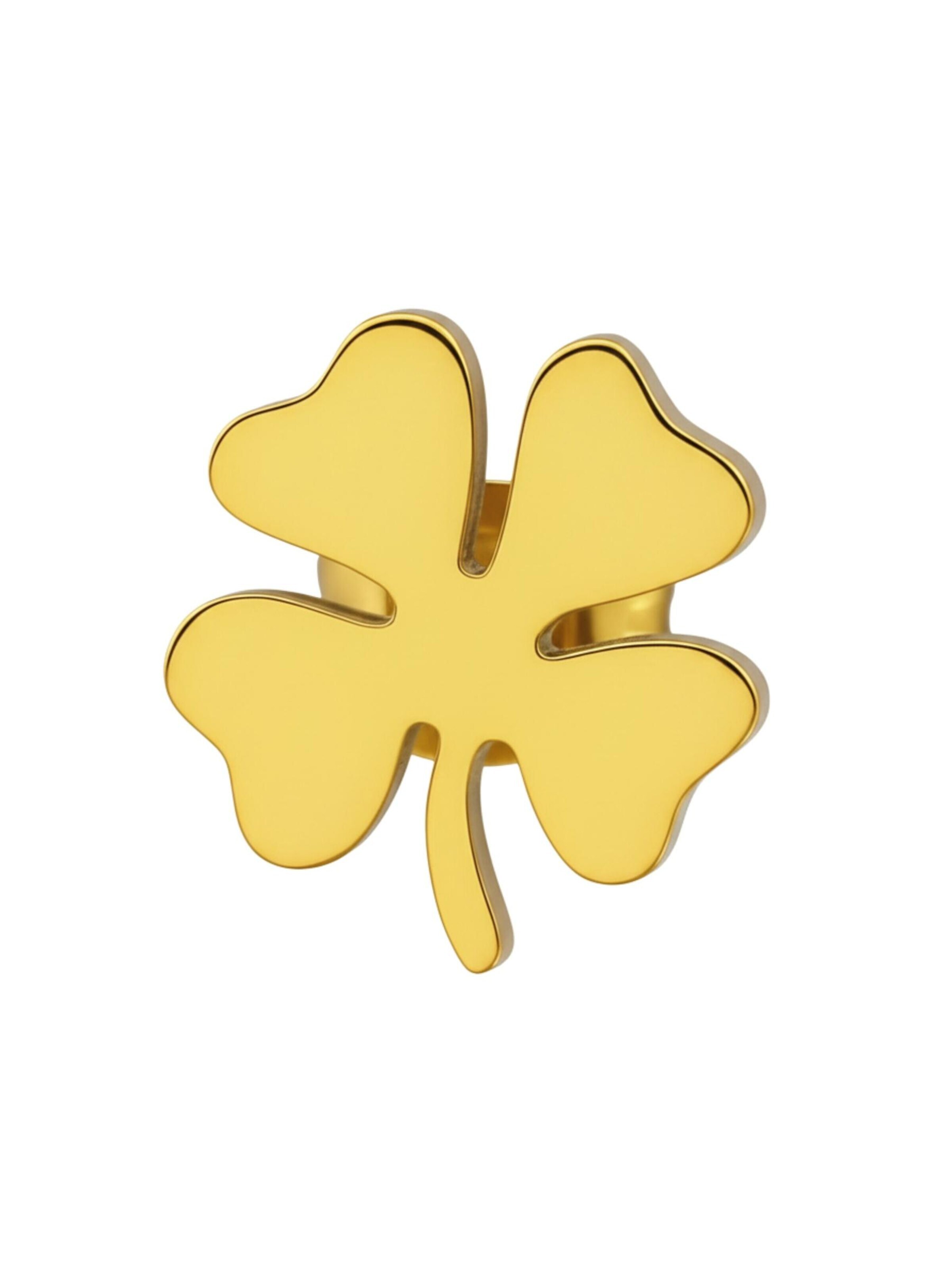 Boucles d'oreilles Maxte en or