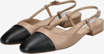 Ballerina di STEVE MADDEN in marrone