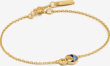 ANIA HAIE Bracelet in Gold: front