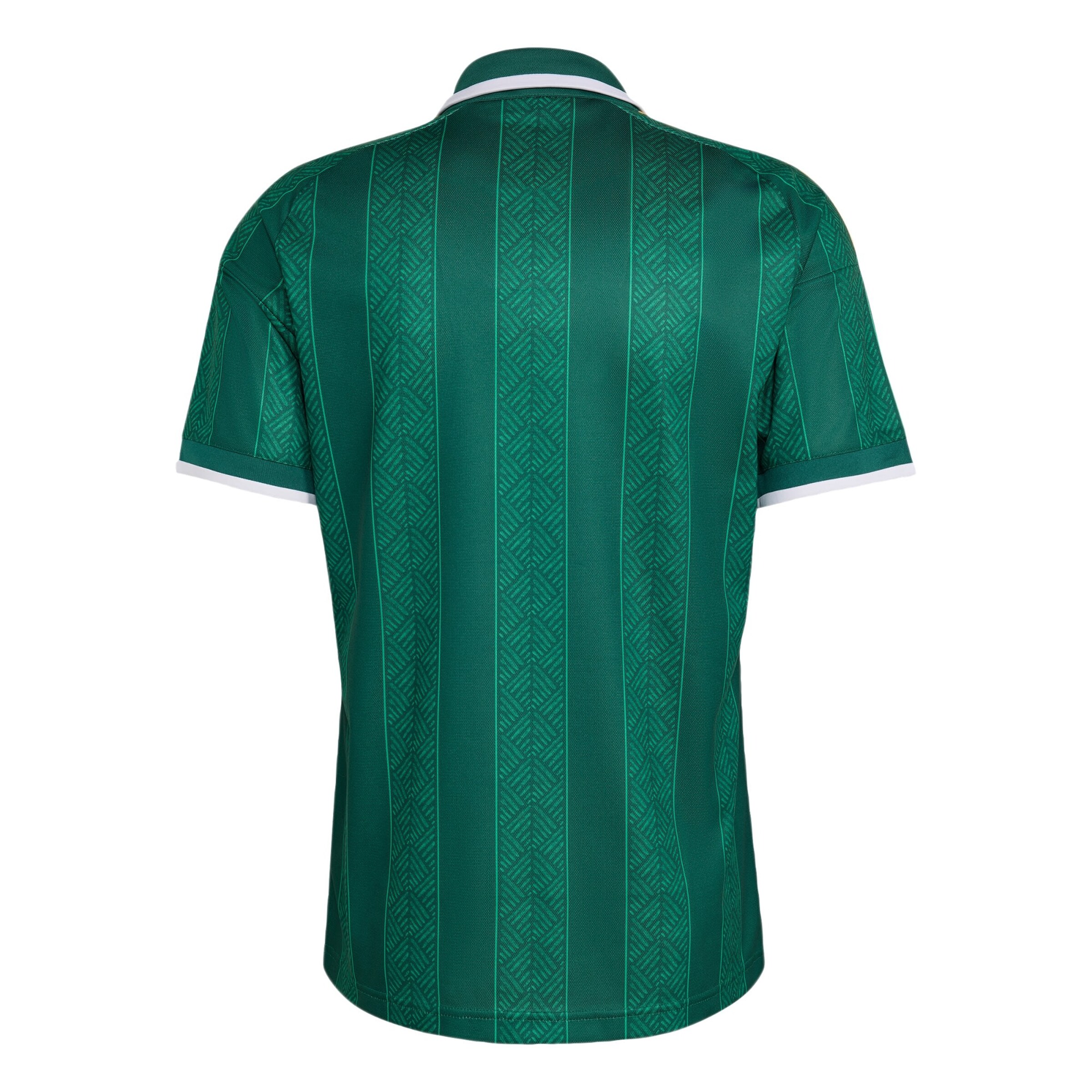 ADIDAS PERFORMANCE - Camiseta de fútbol 'Südafrika 26' en verde