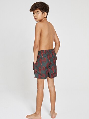 Shiwi Board Shorts in Green