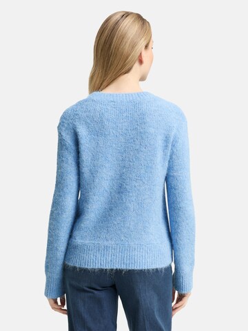 TOM TAILOR Pullover in Blau