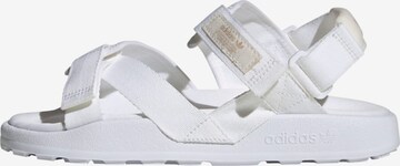 ADIDAS ORIGINALS Sandals 'Adilette Adventure' in White: front