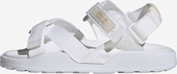 Sandales 'Adilette Adventure' ADIDAS ORIGINALS en blanc : devant