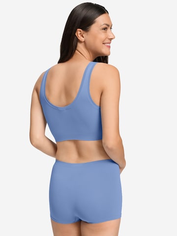 Hanro Bralette Bra 'Touch Feeling' in Blue