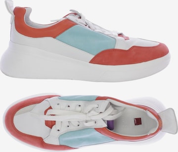 Högl Sneakers & Trainers in 38,5 in Mixed colors: front