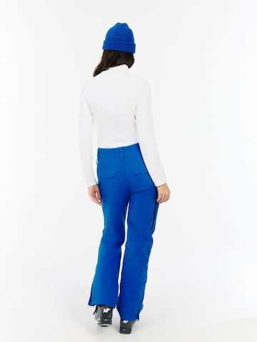 PROTEST Regular Sports trousers 'PRTCARMACKOS' in Blue