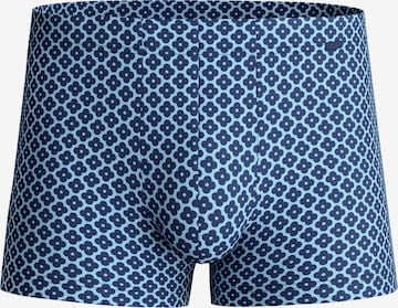 CALIDA Boxer shorts 'Focus Trend' in Blue: front