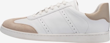 JOOP! - Sapatilhas baixas em cinzento: frente