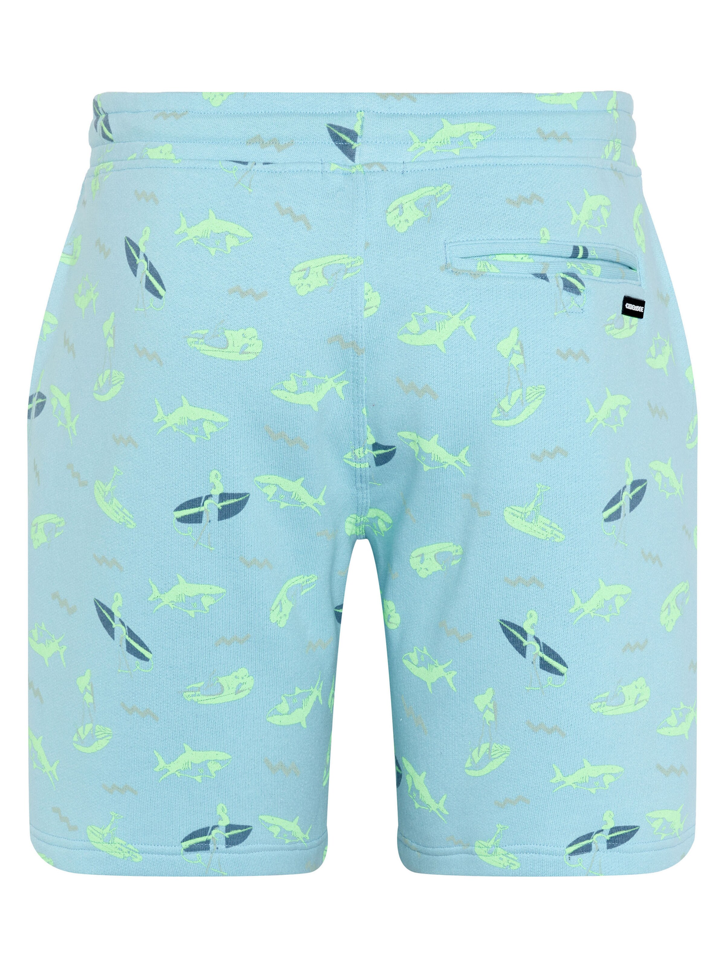 CHIEMSEE Boardshorts in Blau
