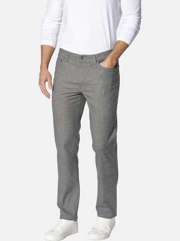 Regular Pantalon 'Stellotelli' BABISTA en gris : devant