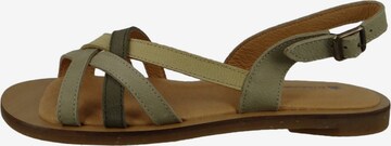 EL NATURALISTA Strap Sandals in Green