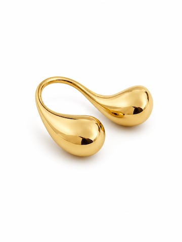 RteRme Ring 'Dual Teardrop Ring' in Gold: front