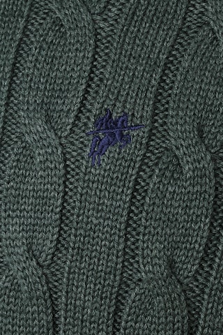 DENIM CULTURE Sweter 'Maurizio' w kolorze zielony