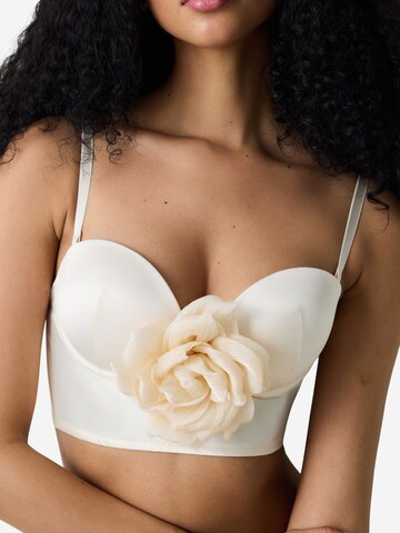 Penti Klasičen Nedrček 'BHs & Bralettes' | bež barva