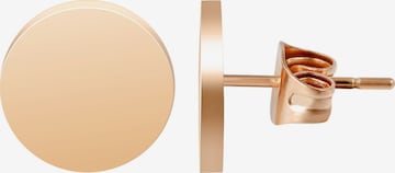 Akzent Earrings 'Saima, wasserfest' in Gold: front