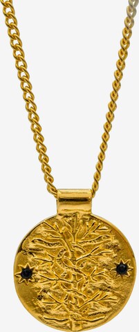 Haze&Glory Necklace 'Antidote' in Gold: front