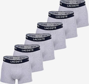 LACOSTE Boxer shorts in Grey: front