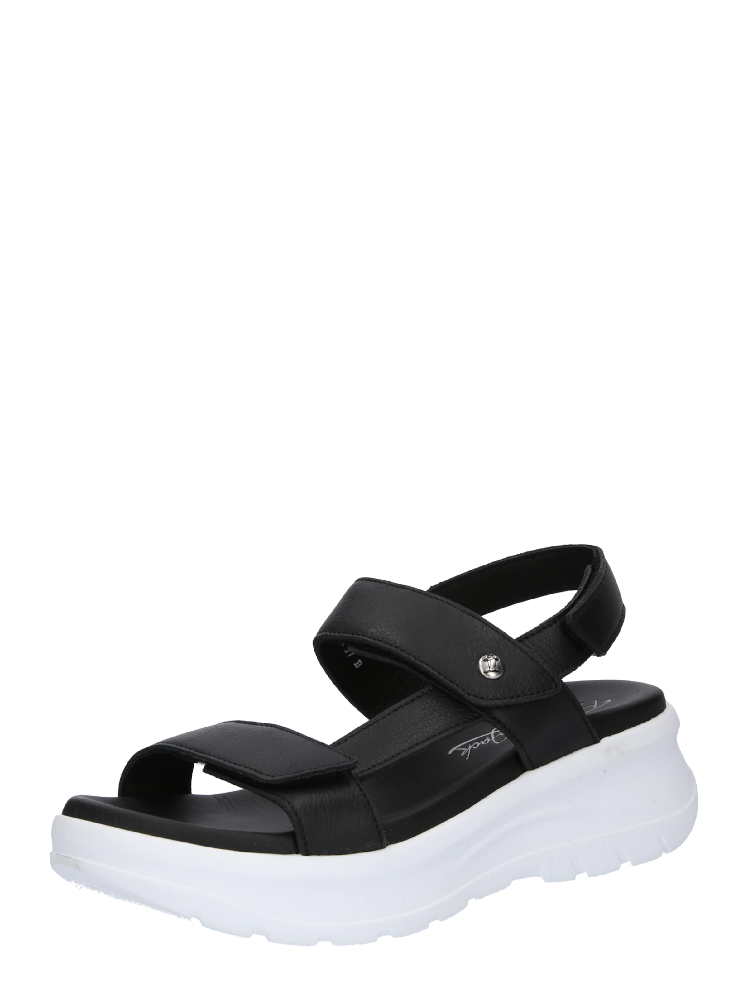 PANAMA JACK Sandals 'Noor B6' in Black: front