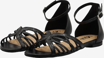 usha FESTIVAL Sandals in Black