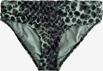 Next Bikini Bottoms in Green: front