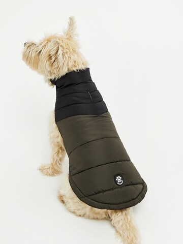 Threadbare Hundejacke in Grün