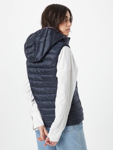 Gilet di TOMMY HILFIGER in blu