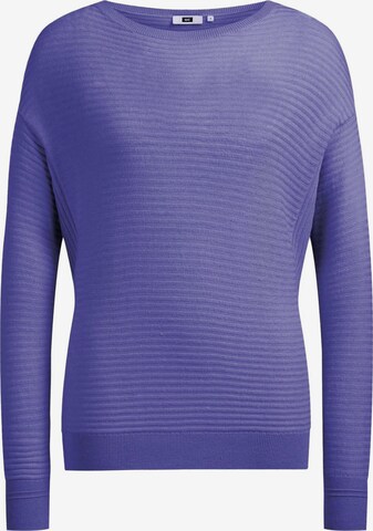 WE Fashion Sweater in Purple: front