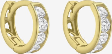 Lucardi Earrings 'Klassisch' in Gold: front