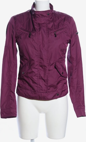 Hetrego Jacket & Coat in XL in Pink: front