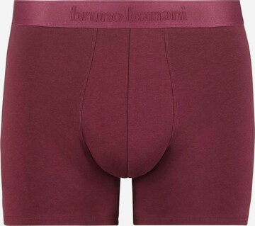 BRUNO BANANI Boxer shorts in Purple