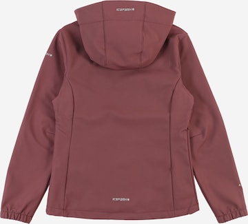 Veste outdoor 'KOBRYN' ICEPEAK en marron