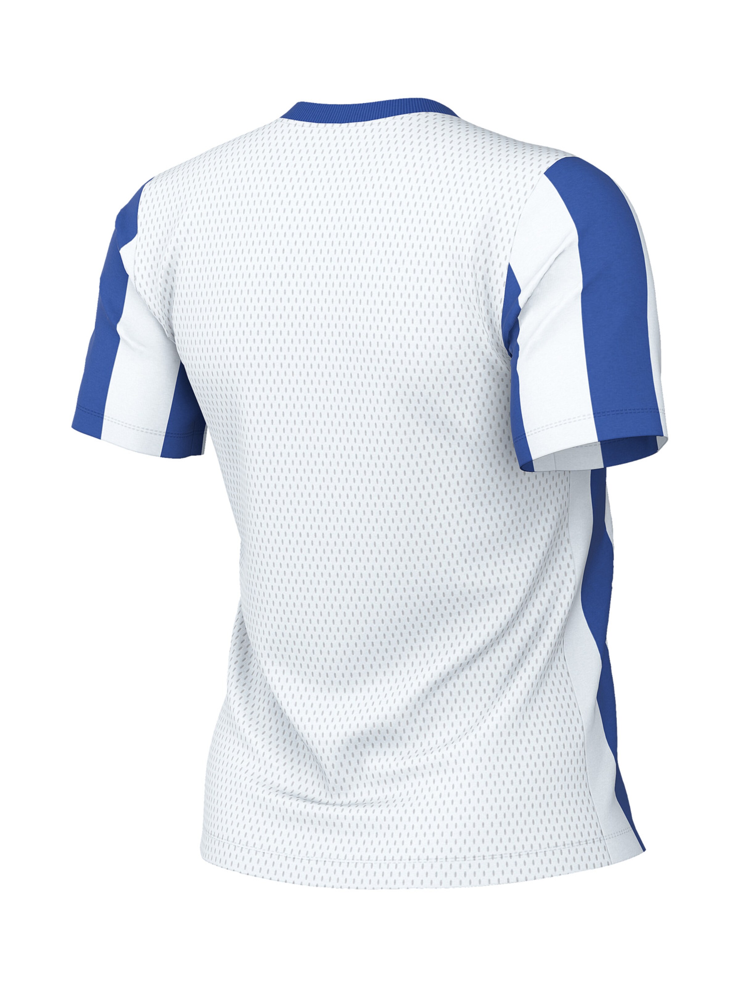 NIKE Trikot 'Division V' in Blau