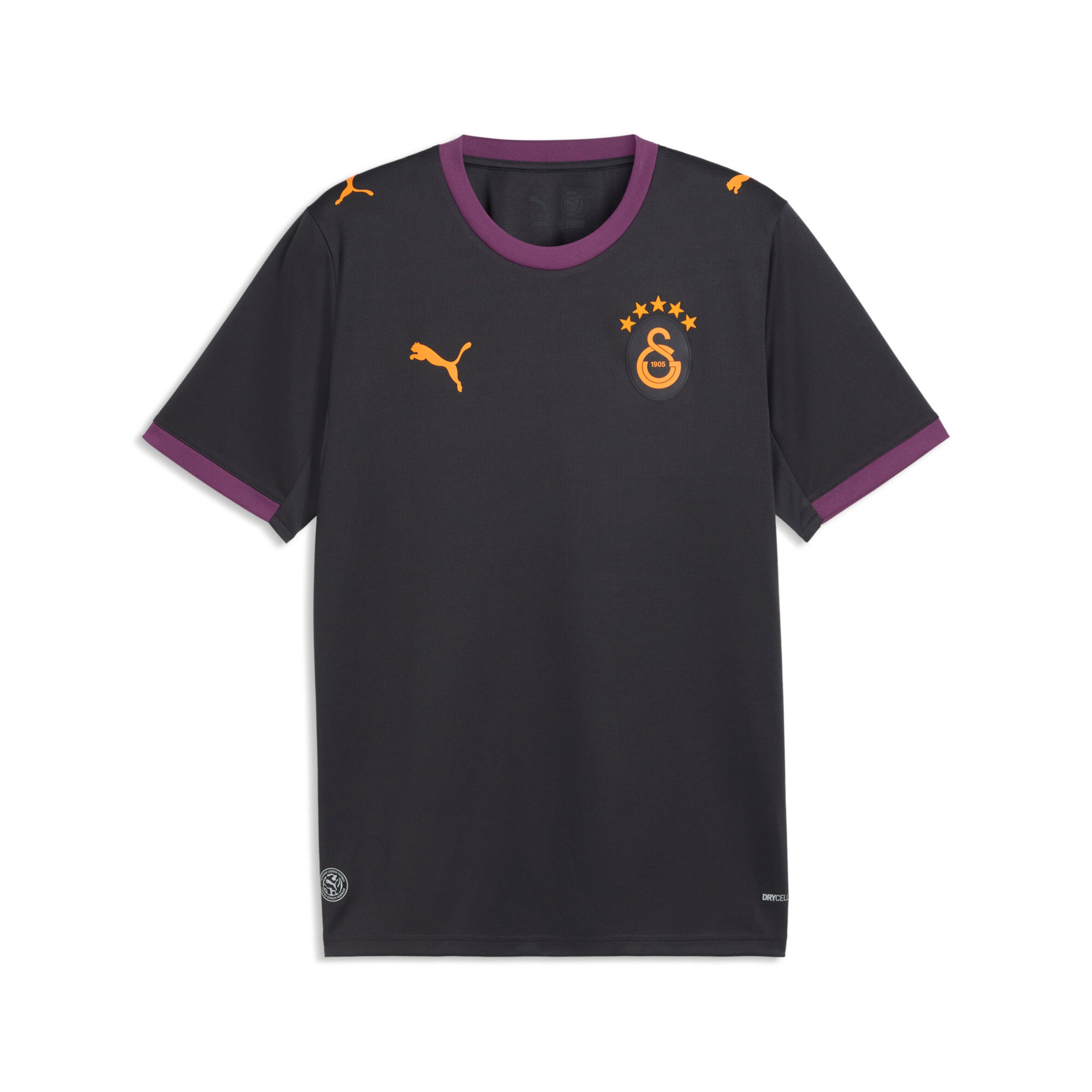 PUMA Regular Fit Fußballtrikot in Schwarz: Vorderseite