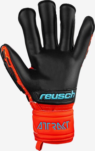 REUSCH Sporthandschuhe 'Attrakt Freegel Gold Evolution Cut' in Rot