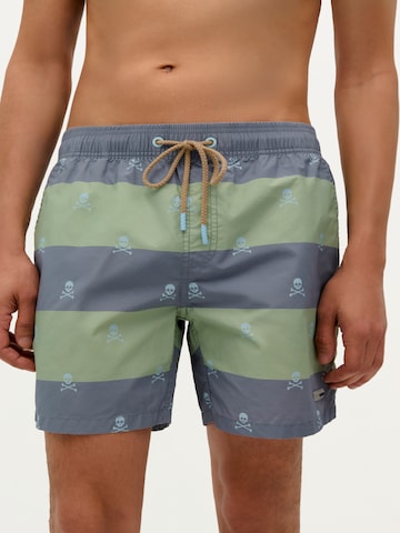 Scalpers Skull Stripes Swimsuit ' ' in Grau