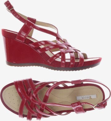 GEOX Sandals & High-Heeled Sandals in 38 in Red: front