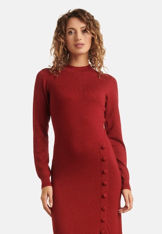 Smashed Lemon Gebreide jurk in Rood