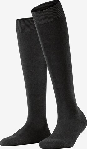 FALKE Knee High Socks 'ClimaWool' in Grey: front
